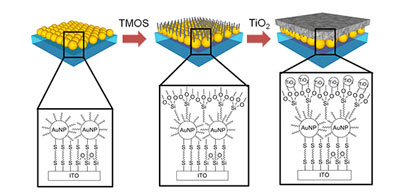 Photocatalyst