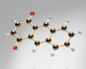 Aromatic Nucleophilic Substitution